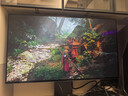 LG 32GX870B 31.5英寸4K 240Hz 第四代WOLED 雙模顯示器 AI超分 DP2.1滿(mǎn)血 DCI P3 99.5% 內(nèi)置音箱 曬單實(shí)拍圖