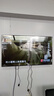 樂視TV50英寸 F50C 全高清畫質 HDR 智能網絡投屏 游戲液晶平板電視機 家用客廳酒店監控商用顯示屏 50英寸 F50C 超高質價比 裸機版本 曬單實拍圖