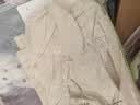 三彩大碼女裝2026夏季新款V領(lǐng)收腰棉連衣裙短袖顯瘦微胖MM 黃油色 2XL 175/100B 曬單實拍圖