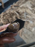 三只松鼠甘栗仁40g*11袋 無(wú)殼即食軟糯香甜優(yōu)質(zhì)板栗仁栗子仁休閑零食堅果 曬單實(shí)拍圖