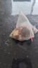 金銀花菊花茉莉花茶金絲皇菊三花茶包清潤下火辦公室泡水喝花草茶 【金銀花菊花茉莉茶】【2包】不夠喝 【精選原料】油臉油痘/熬夜下火 曬單實拍圖