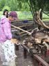 伯希和（Pelliot）【小森林】防曬衣女款夏季戶外透氣涼感皮膚衣外套男12421220粉M 曬單實拍圖