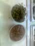 尋薈記水潤保濕噴霧透徹補水植物精華噴霧細膩柔膚呵護肌膚不油膩 300ml 曬單實拍圖