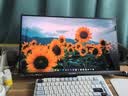 優派23.8英寸4K 160Hz納米黑曜屏 鏡面通透屏低反射HDR400 廣色域 硬件低藍光電競顯示器VX24G26J-4K 曬單實拍圖
