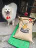 藻趣兒 狗糧 通用全價犬糧小中大型犬泰迪柯基金毛拉布拉多 【熱銷囤貨裝】成犬糧40斤裝 曬單實拍圖