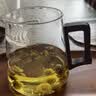 富造公道杯玻璃月牙過濾泡茶杯綠茶專用茶具壺帶茶漏分茶器配件600ml 曬單實拍圖