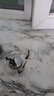 浩迪（HD）茶水分離泡茶杯雙層玻璃杯子創(chuàng)意潮流男女水杯簡(jiǎn)約時(shí)尚商務(wù)花茶 茶水分離杯【450毫升】 曬單實(shí)拍圖