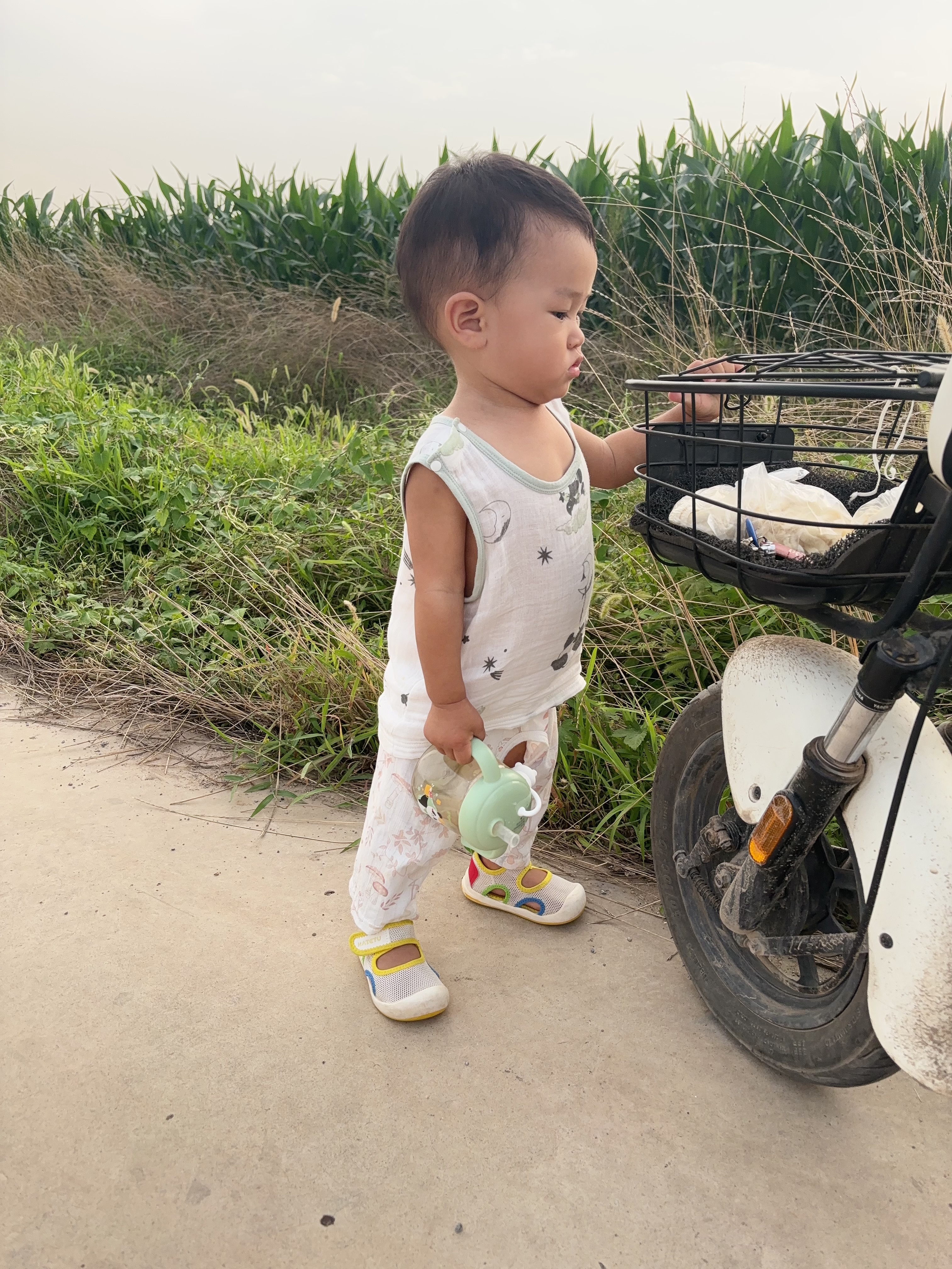 英氏（Engnice）憶格嬰幼兒小小饅頭兒童 寶寶零食酥松易溶 營養奶豆 6月+ 90g*1罐 小小饅頭（特濃牛奶味） 曬單實拍圖