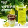 德蘭茲柚子復(fù)合果汁濃縮果汁白柚汁咖啡奶茶店專用柚子美式氣泡水 德蘭茲柚子復(fù)合濃漿1L 曬單實拍圖