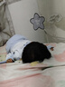 babycare兒童家居套裝山茶花睡衣兩件套男童內衣女童秋衣秋褲2025秋季新款 樹袋熊 90 曬單實拍圖