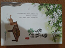 梅子熟時(shí)梔子香 肖復(fù)興 散文精選集 經(jīng)典美文舒緩治愈溫暖文字 那片綠綠的爬山虎 中國現(xiàn)當(dāng)代文學(xué)散文書籍 曬單實(shí)拍圖