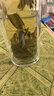 【京東物流配送】高硼硅雙層玻璃杯大容量泡茶杯水杯子茶水分離杯 【雙層加厚】茶杯350ml1只 曬單實(shí)拍圖