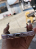 Apple【全新未使用】蘋果15全新未激活 全網通5Giphone 15plus手機美版 蘋果15plus 6.7英寸 粉色 128GB 原裝未激活+全網通大禮包 曬單實拍圖