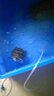 D&ASTUDIO小型魚缸靜音增氧泵家用養(yǎng)魚氧氣泵充氧泵打氧機(jī)水族箱增氧設(shè)備 單孔氣泵（2米氣管+氣泡石+止水閥） 曬單實(shí)拍圖