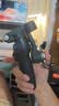 大疆DJI Osmo Mobile 8 標準版 手機穩定器手持云臺OM8 360度跟拍防抖自拍桿直播vlog神器 曬單實拍圖