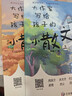 大作家寫給孩子的小散文（全兩冊）小學生閱讀經典名著語文寫作提升 小散文大作家小散文官方正版 打好語文基礎啟發想象力作文靈感 曬單實拍圖