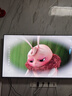 海信電視大薄荷E52S 55吋 抗反光墨晶屏U+MiniLED 59mm超薄 高刷180Hz 杜比全景聲 一級能效補貼 曬單實拍圖