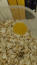 智宙 甲蟲果凍昆蟲獨(dú)角仙果凍鍬甲飼料食物中華大扁鍬甲秋甲蟲金龜子 5枚散裝（可食用15天左右） 曬單實(shí)拍圖