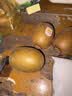佳沛（zespri）新西蘭陽光金奇異果巨大果22粒原箱單果146-175g 獼猴桃水果禮盒 曬單實拍圖