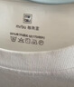 布先生明星同款長袖T恤男士小白T內搭 長袖標準T-圓領-白色 2XL(185) 曬單實拍圖