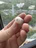 聲闊安克 【馬思純同款】深睡艙A30 睡眠耳機藍牙耳機 無痛側睡降噪耳機 降噪耳塞防噪音助眠月光白 曬單實拍圖