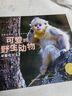 可愛的野生動物 套裝全5冊動物科普知識高清攝影圖趣味故事科普知識真實(shí)動物生活場景3-6歲兒童幼兒園啟蒙圖畫書百科全書暑假課外閱讀書籍 曬單實(shí)拍圖