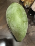 京地達海南金煌芒果4.5斤珍稀果王單果500g+青皮生吃甜心芒新鮮水果包郵 曬單實拍圖