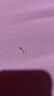 羅威寶格黃金耳釘女足金999圓球金耳飾豆豆彎鉤送女友七夕情人節(jié)禮物 3mm圓珠光面約0.155g/單只支持多退少補(bǔ) 曬單實(shí)拍圖