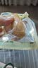 a1筍尖雞肉腸開袋即食獨立包裝方便速食香腸解饞休閑零食整箱 【飽滿肉香】原味（20根）600g 曬單實拍圖