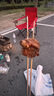 葷八廚 內(nèi)蒙古羊腰子500g凈重 新鮮羊肉生鮮原油羊腰子內(nèi)腰烤串燒烤食材 曬單實拍圖