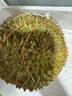 京鮮生 進口金枕頭鮮榴蓮 凈重6-7斤 1個裝 生鮮 新鮮水果新鮮榴蓮 曬單實拍圖