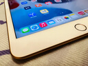 Apple 蘋果平板電腦 iPad mini5 二手平板電腦 金色 64G WiFi+4G 曬單實(shí)拍圖