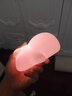 萊樞匯生日禮物桌面小夜燈氛圍燈七夕情人節禮物兒童床頭伴睡燈裝飾擺件 粉色小豬 曬單實(shí)拍圖
