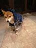 ISPET狗狗雨衣中大型犬宠物雨衣柴犬金毛拉布拉多柯基萨摩耶雨披 蓝色 M 实拍图