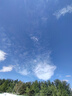 智國者【TOP榜第1名】自拍桿手機支架落地360度旋轉防抖自動三腳架跟拍直播拍照神器拍攝演唱會2026新款 曬單實拍圖