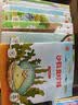 小小物理學家 30冊 科普繪本 給3-9歲孩子的兒童節物理學科啟蒙繪本書籍 幼兒園一、二年級必讀繪本 課外閱讀書 老師推薦書單 幼兒園經典書單 幼小銜接 名家獲獎睡前故事  曬單實拍圖
