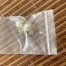 Qlady貓眼石花朵耳環女氣質高級感仿珍珠耳釘女2026新款耳飾生日禮物 曬單實拍圖
