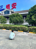 巴拉巴拉童裝寶寶短袖t恤男童女童2026新款夏裝兒童條紋休閑上衣純棉衣服 曬單實拍圖