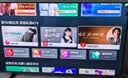 Vidda小鋼炮S Mini 海信電視55英寸 Mini LED 獨(dú)立低音炮 180Hz高刷MEMC 液晶世界杯游戲電視機(jī)55VX1S 曬單實(shí)拍圖