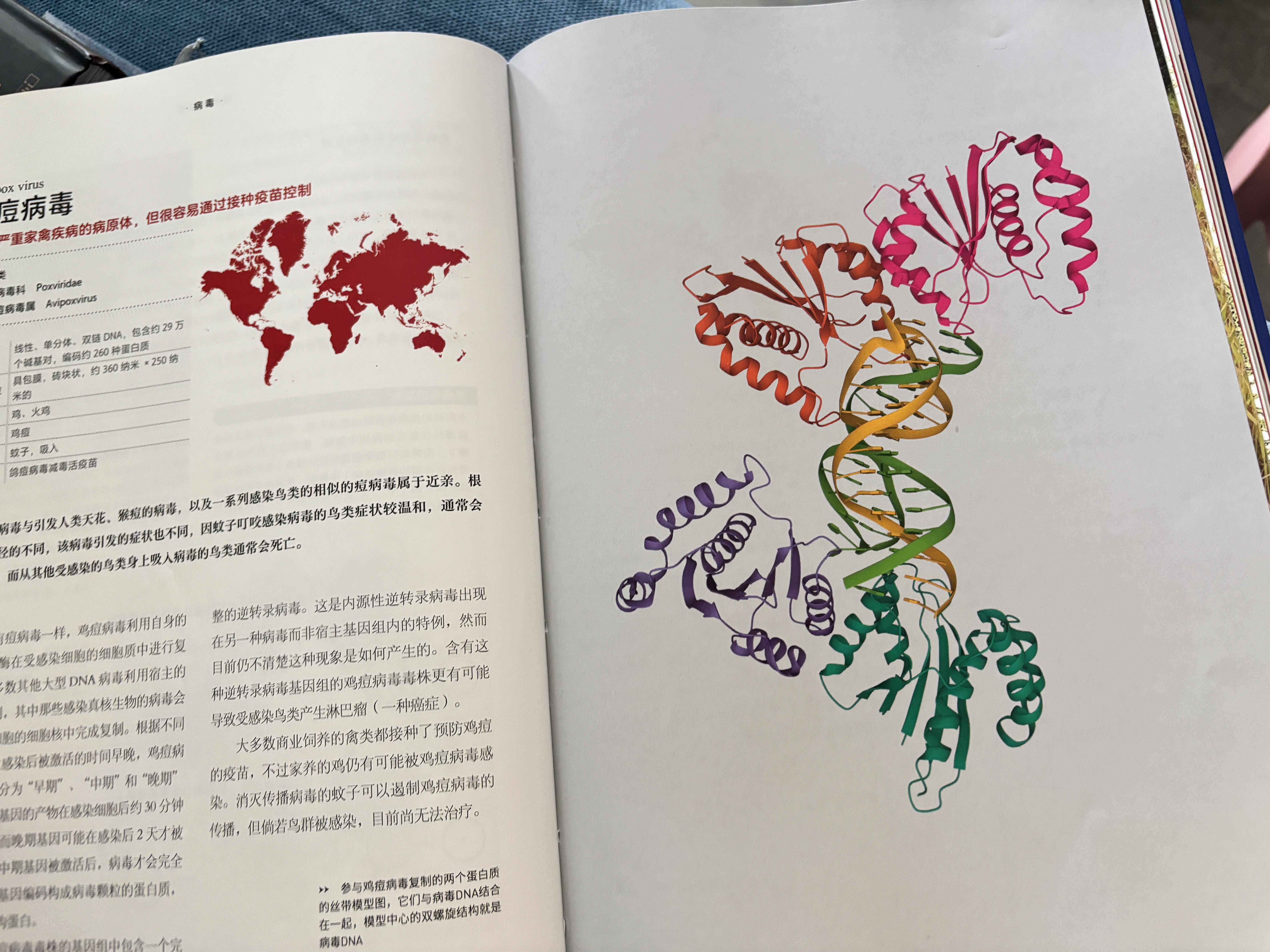 （加贈(zèng)貼紙）中國(guó)國(guó)家地理真菌:地球分解者+病毒:斗爭(zhēng)與平衡 普林斯頓大學(xué)生物圖鑒 微生物科普讀物書(shū)籍 曬單實(shí)拍圖