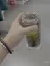 蘇泊爾（SUPOR）玻璃杯茶水分離男士水杯雙層高硼硅耐高溫大容量泡茶杯子生日禮物 行硯黑400mL 曬單實拍圖