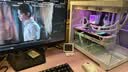 華碩（ASUS）ROG全家桶 AMD銳龍 R7 9800X3D RTX5060ti/RTX5070ti/5080 組裝電腦臺式電腦主機游戲整機 配置四 R7 9800X3D+RTX5070 推薦 曬單實拍圖