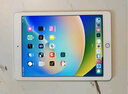 蘋果（Apple） iPad Pro 9.7英寸 2016款 二手平板電腦 二手蘋果平板 銀色 128G WiFi 曬單實(shí)拍圖