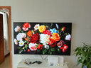 酷開（coocaa）創維電視 柔光K6+ 2026款 65英寸Mini LED 180Hz高刷 1級能效 AI平板電視65P5H Pro 65英寸 曬單實拍圖