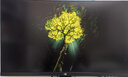 泰坦軍團27英寸QD-MiniLED 4K 160Hz雙模320Hz DyDs0.5ms Type-C65W 內置音箱電競顯示器P275MV PLUS增強版 曬單實拍圖