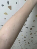 ORGINESE黃芪去角質(zhì)面部啫喱臉部深層清潔毛孔去死皮磨砂膏七夕禮物300g 曬單實拍圖