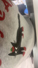 古今（GUJIN）純棉帶胸墊睡衣女夏季新款精梳棉短袖家居服睡褲卡通可愛套裝L 曬單實拍圖