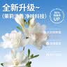 蓓恩 膨潤土貓砂強結團不沾底祛味貓砂除臭低塵貓砂大包裝20斤裝 曬單實拍圖