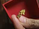 中國(guó)珠寶（Sino gem）蝴蝶花朵黃金戒指女足金蝶戀花指環(huán)首飾品七夕情人節(jié)禮物送女友 當(dāng)/次日達(dá)-蝶戀花戒指  約2.6g 曬單實(shí)拍圖
