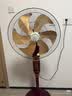 鉆石牌【18英寸+純銅電機+1級直流變頻】家用電風扇立式落地扇可升降工業扇工廠車間強勁風力DFS-ZFM05L 曬單實拍圖